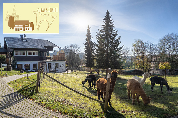 Google Street View Maps Business Fotograf 360 Grad Panorama 360° Fotografie Indoor Spielplatz Tiggolino Raunheim